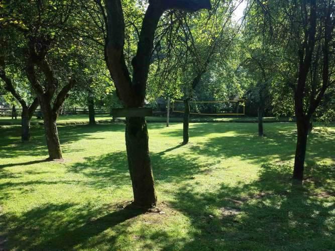 Hotel Kamp Na Otoku - Ljubno Ob Savinji Esterno foto