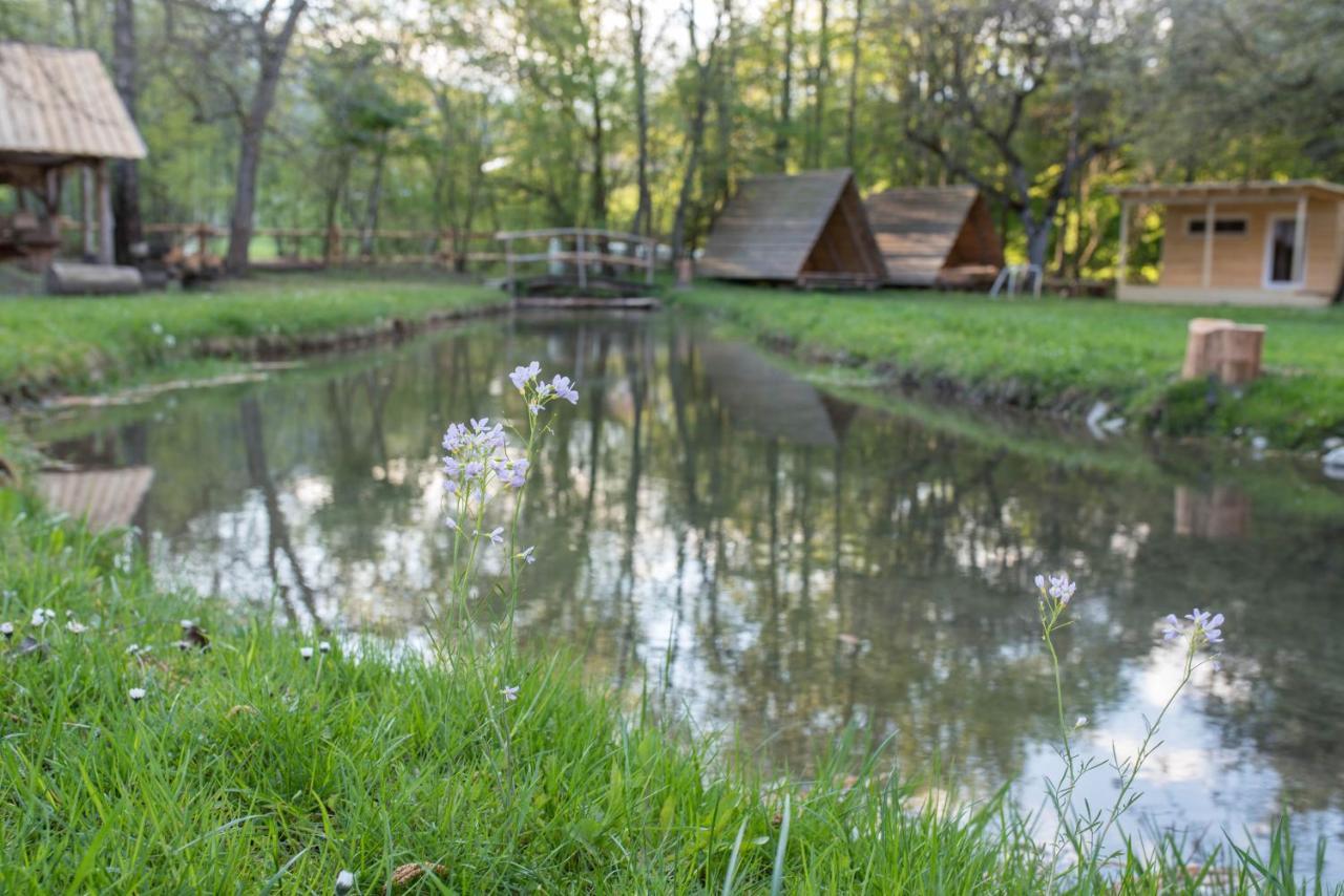 Hotel Kamp Na Otoku - Ljubno Ob Savinji Esterno foto